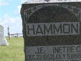 J E Hammon
