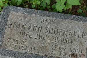 Jean Ann Shoemaker Jean Ann Shoemaker