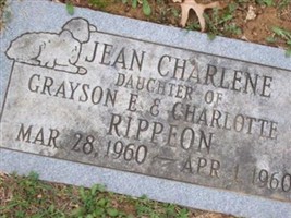Jean Charlene Rippeon