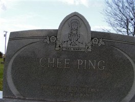 Jean Chee Ping Hennes