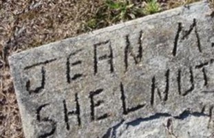Jean M Shelnutt Jean M Shelnutt