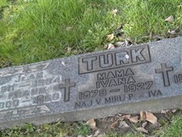 Jean Turk