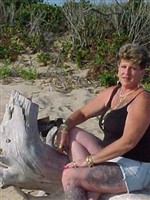 Jeanne Ellen Dickenman DeHauski Jeanne Ellen Dickenman DeHauski