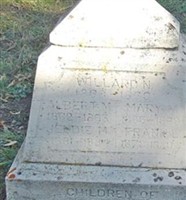 Jeddie M Allred