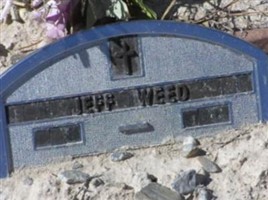Jeff Weed