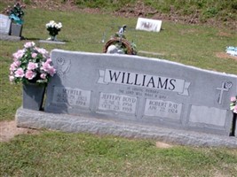 Jeffery Boyd Williams