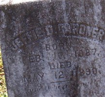 Jeffie D. Gardner
