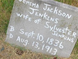 Jemima Jackson Jenkins Jemima Jackson Jenkins