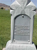 Jenkin Davis