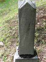 Jenkin Rees