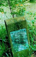 Jenkins Family Cemetery (Berney Station)