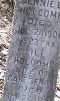 Jennie B. Holcomb Jennie B. Holcomb