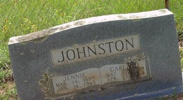 Jennie Elledge Johnston