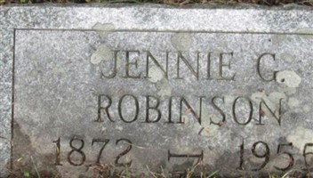 Jennie Gertrude Terrill Robinson