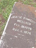 Jennie Hamilton Mellard
