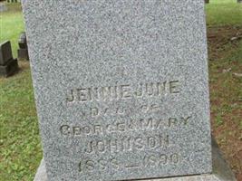 Jennie June Johnson
