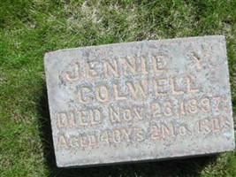 Jennie Y. Colwell