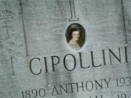 Jenny Cipollini Jenny Cipollini