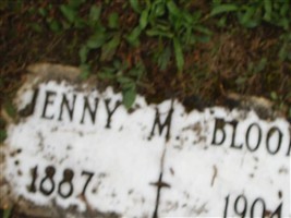 Jenny M Bloom