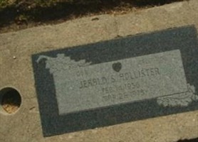 Jerald S Hollister