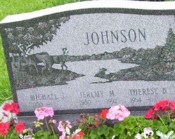 Jeremy M Johnson