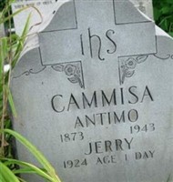 Jerry Cammisa