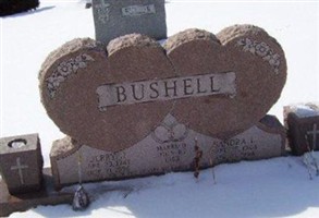 Jerry J Bushell