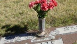 Jerry Odom Mize