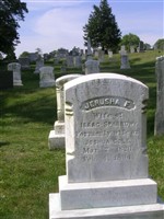 Jerusha F Sparrow