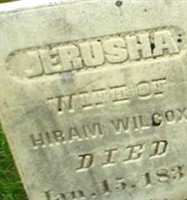 Jerusha Wilcox