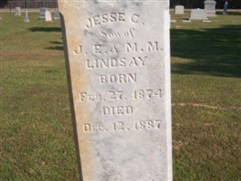 Jesse C Lindsay Jesse C Lindsay
