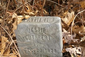 Jesse Cuthbert