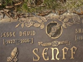 Jesse David Senff Jesse David Senff