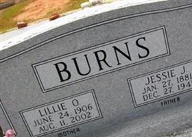 Jesse Johnson Burns