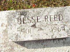 Jesse Reed