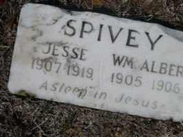 Jesse Spivey