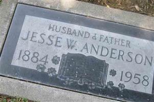 Jesse W Anderson