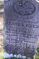 Jessee Reed