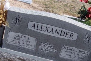 Jessica J 'Mickey' Alexander