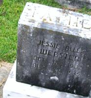 Jessie Allen Webster