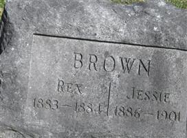 Jessie Brown