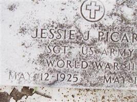 Jessie J. Picard