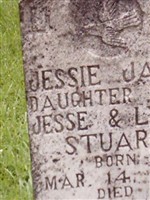 Jessie Janis Stuart