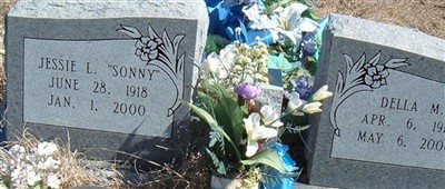 Jessie Loman Parent