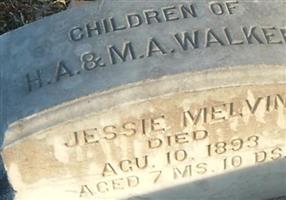 Jessie M Walker