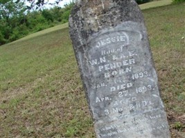 Jessie Pender