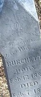Jessie Wiseman Burchett