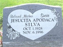 Jesucita Apodaca Silva