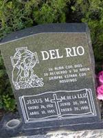 Jesus M. Del Rio