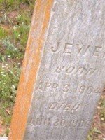 Jewell Callison